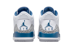 Jordan 3 Wizards