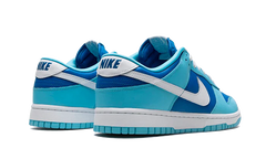 Nike Dunk Low Argon