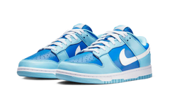 Nike Dunk Low Argon